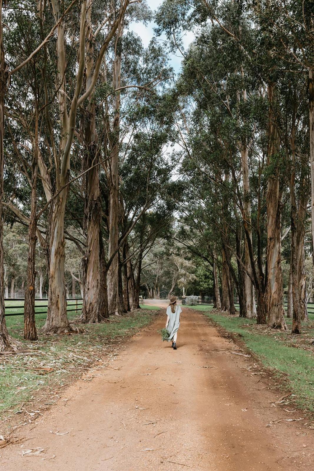 Chambre Estate Margaret River Eksteriør bilde